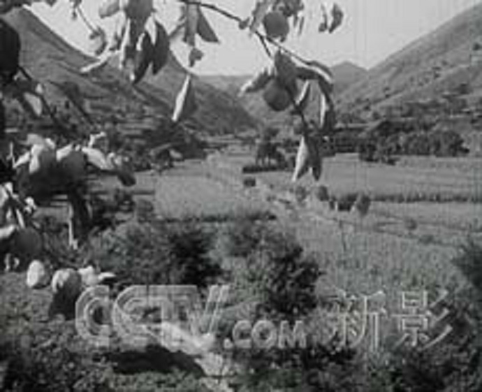 红旗渠剧照的剧照