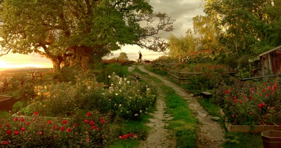 美女与野兽剧照的剧照