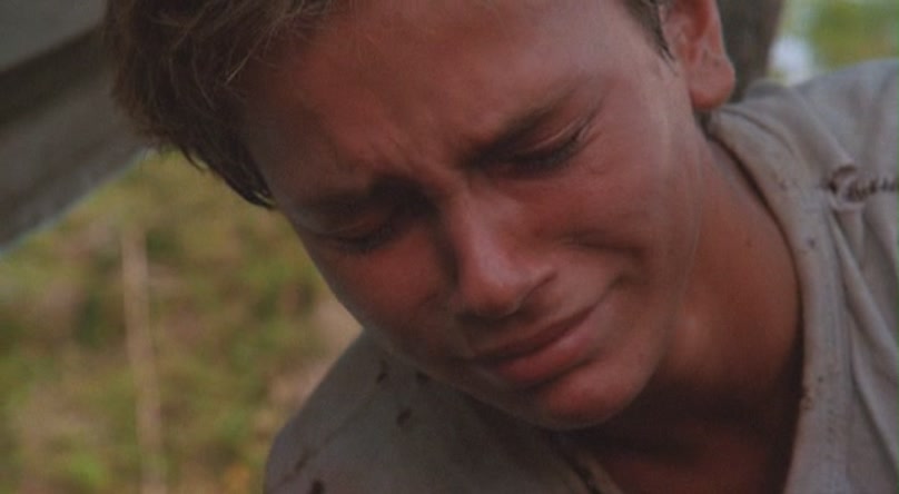 蚊子海岸剧照的剧照