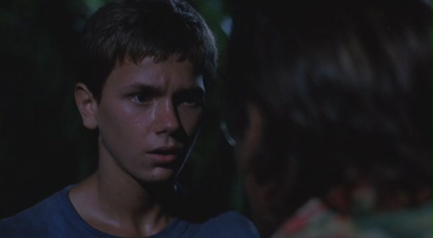 蚊子海岸剧照的剧照