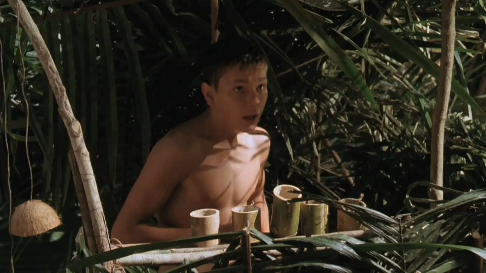 蚊子海岸剧照的剧照