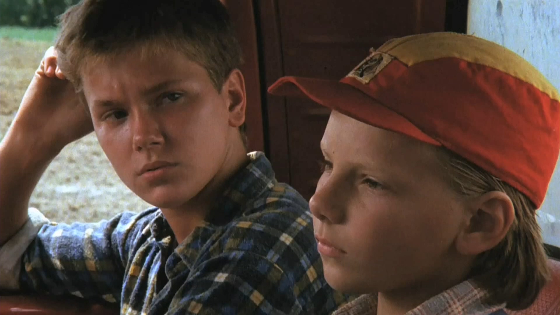 蚊子海岸剧照的剧照