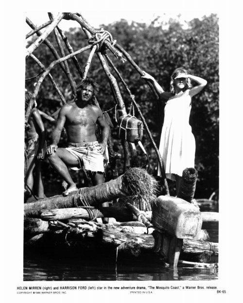 蚊子海岸剧照的剧照