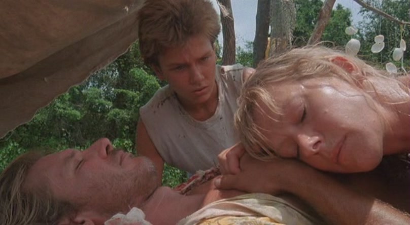 蚊子海岸剧照的剧照