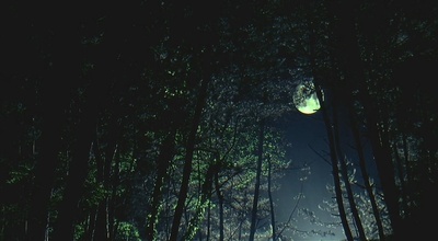 老师的恩惠剧照的剧照