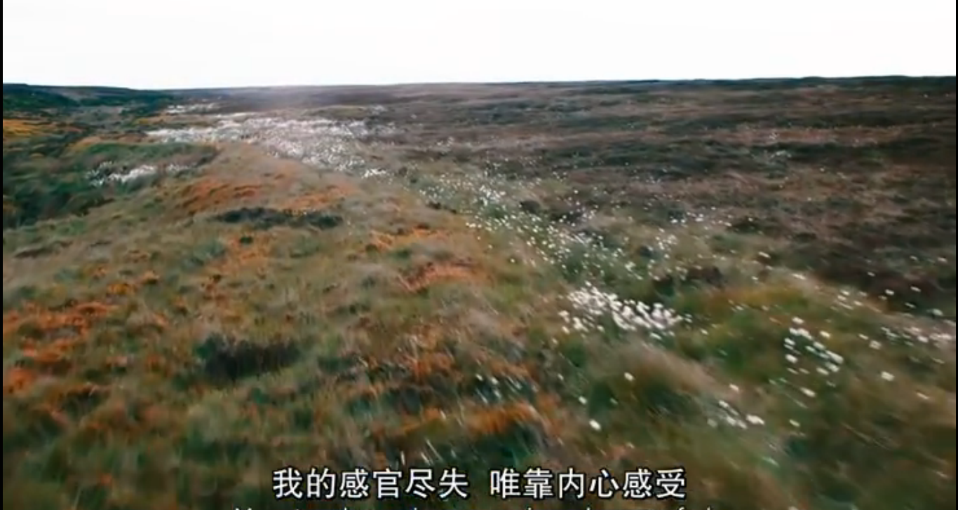 隐于书后剧照的剧照