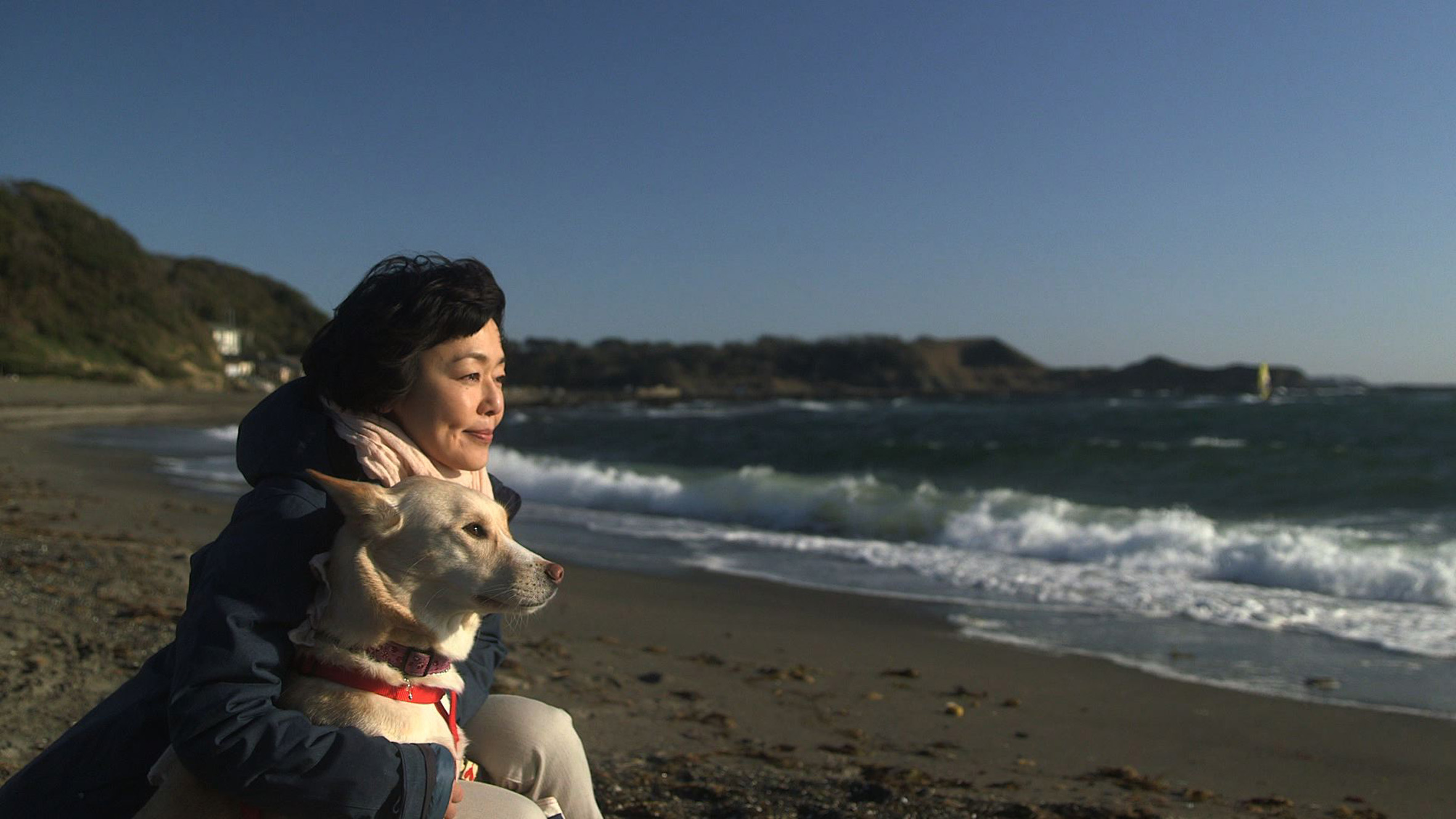 为你取名的那一天剧照的剧照