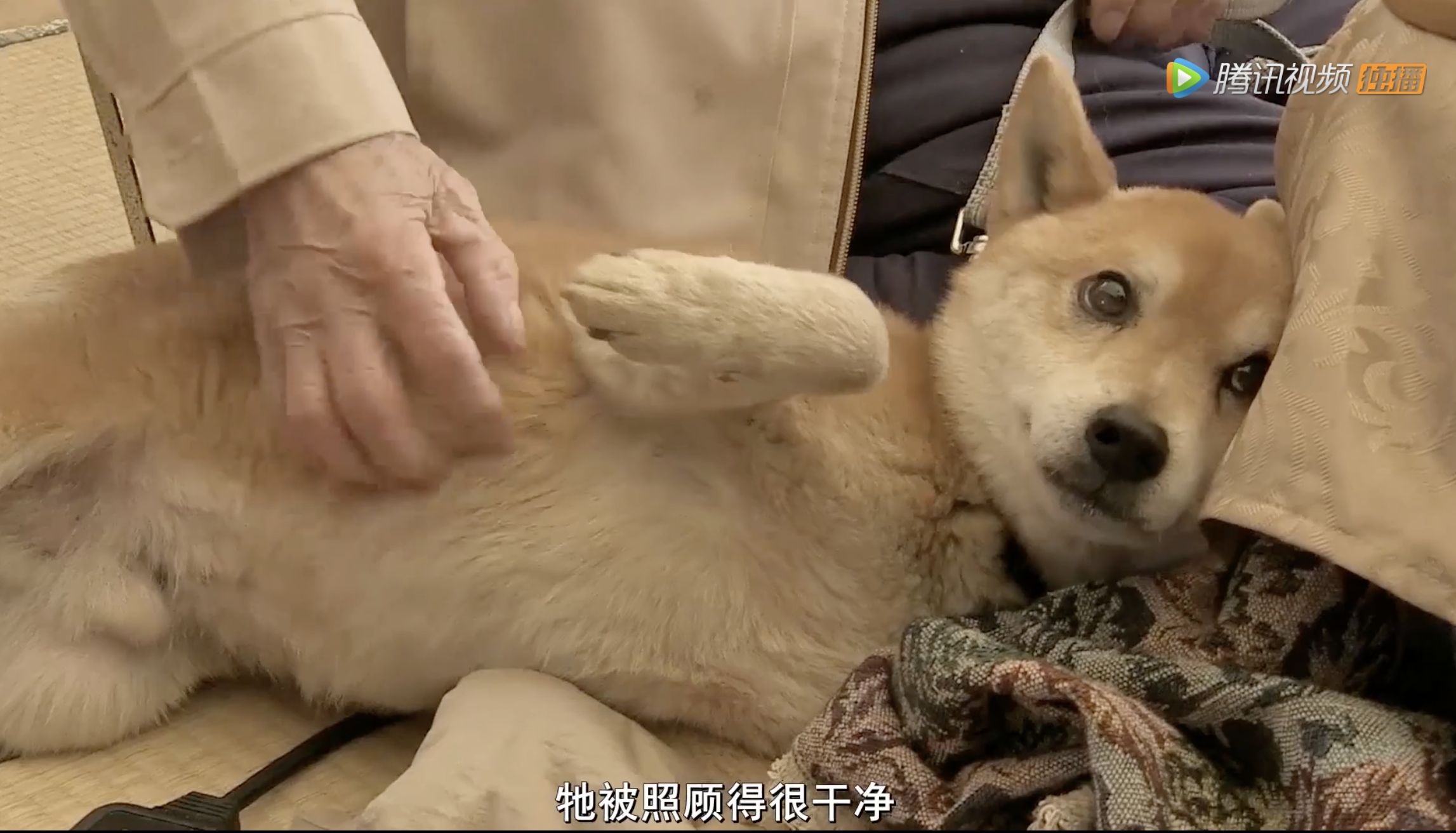 为你取名的那一天剧照的剧照