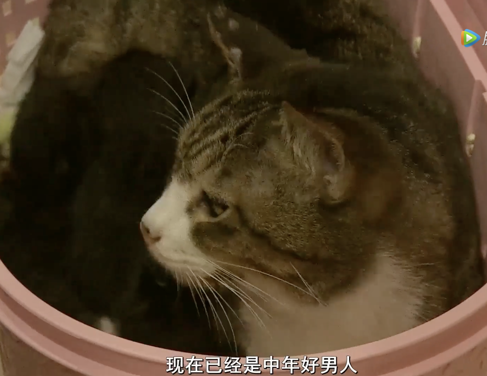 为你取名的那一天剧照的剧照