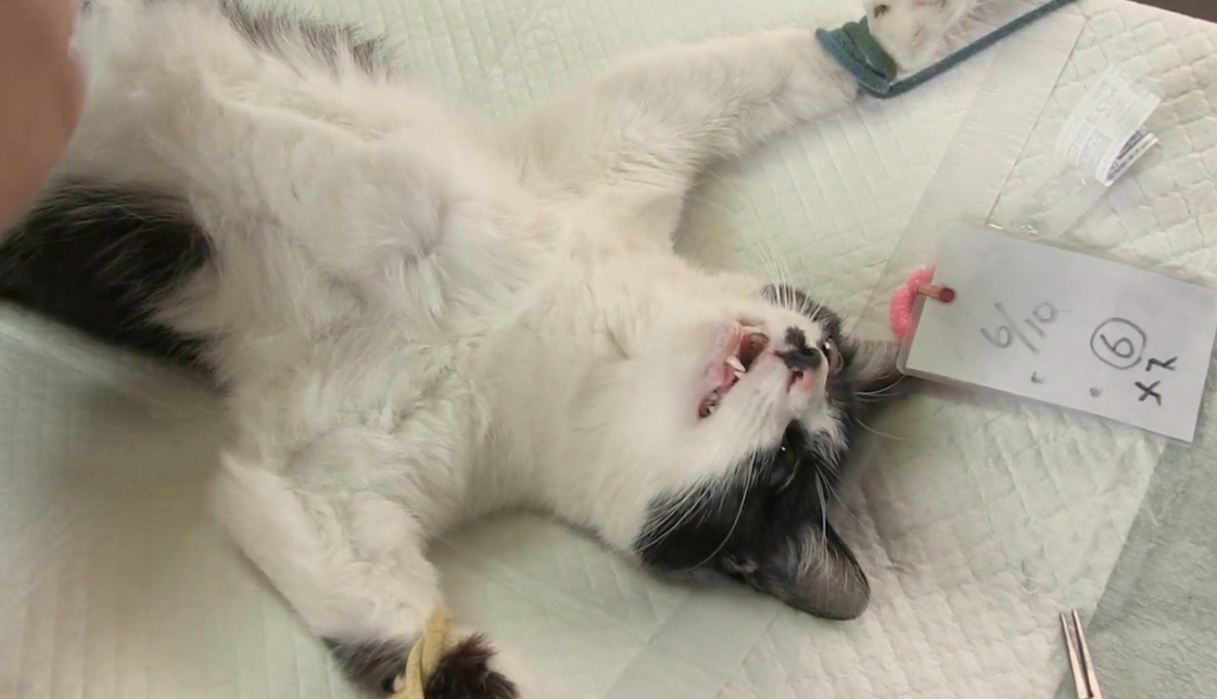 为你取名的那一天剧照的剧照