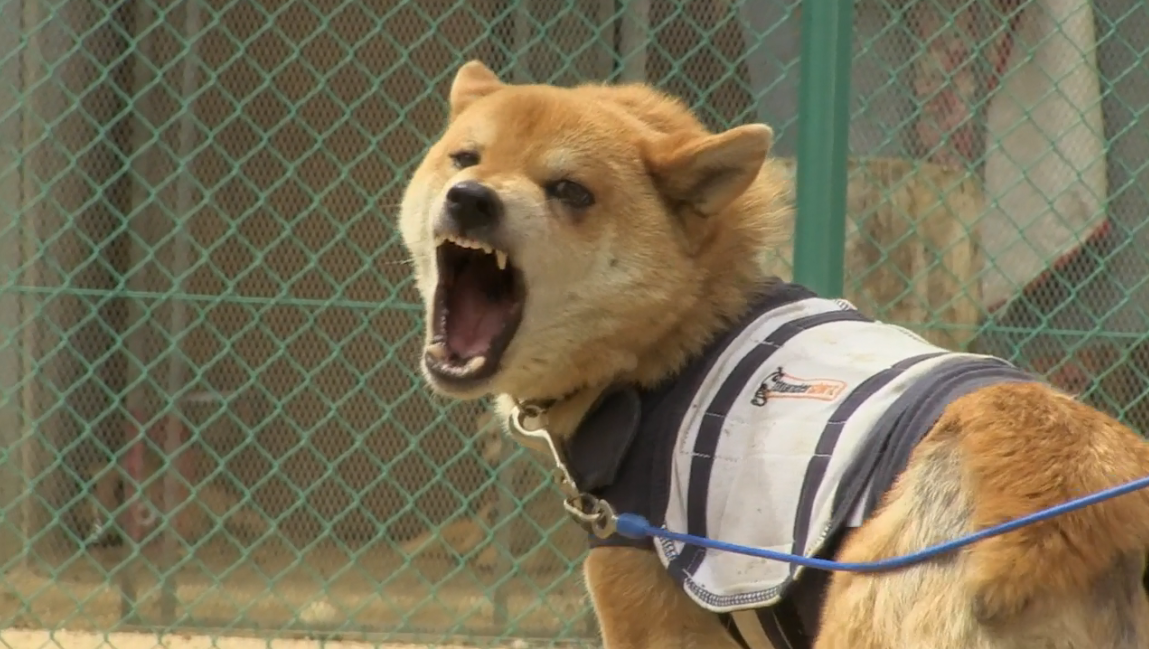 为你取名的那一天剧照的剧照