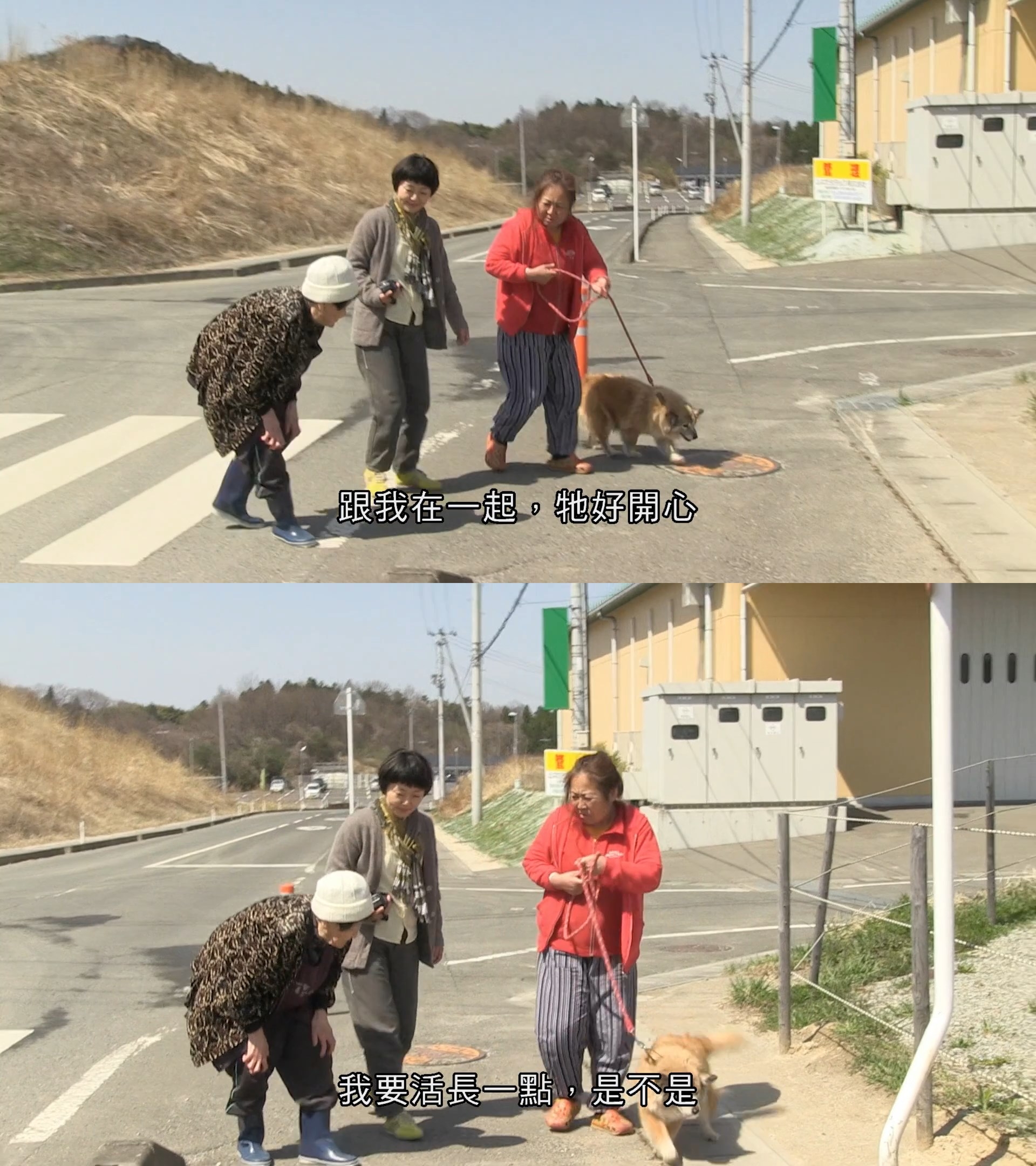为你取名的那一天剧照的剧照