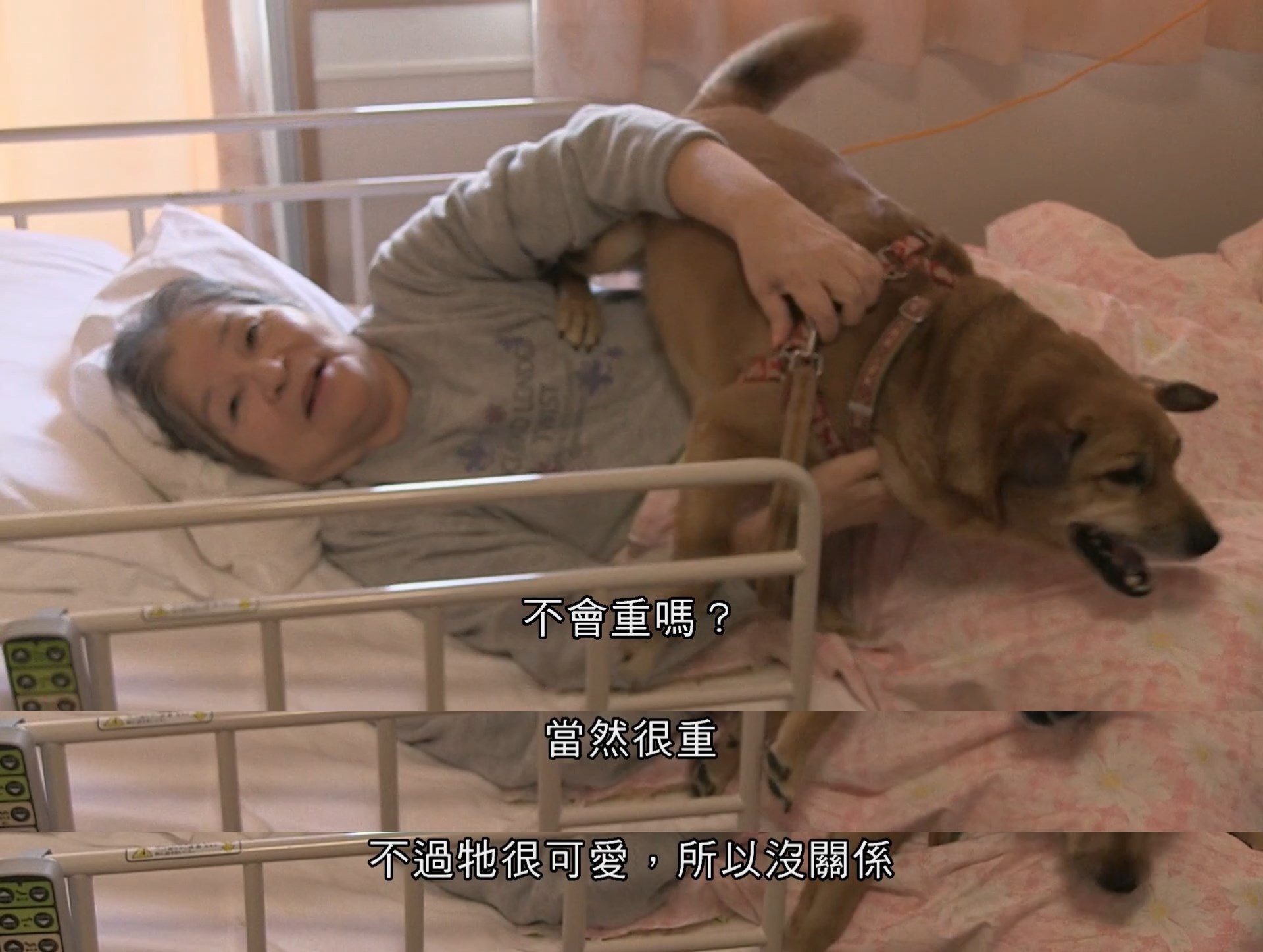 为你取名的那一天剧照的剧照