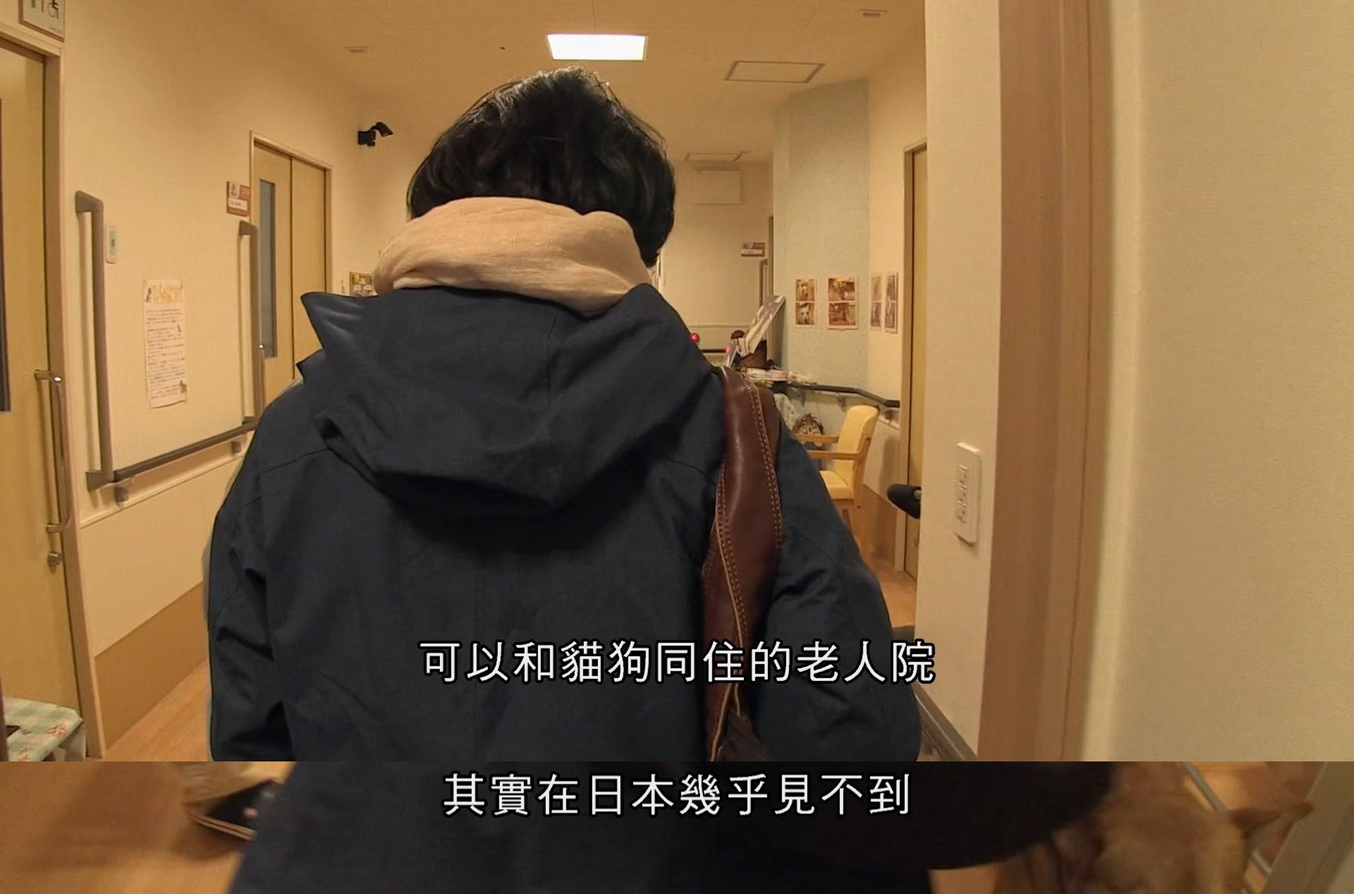 为你取名的那一天剧照的剧照