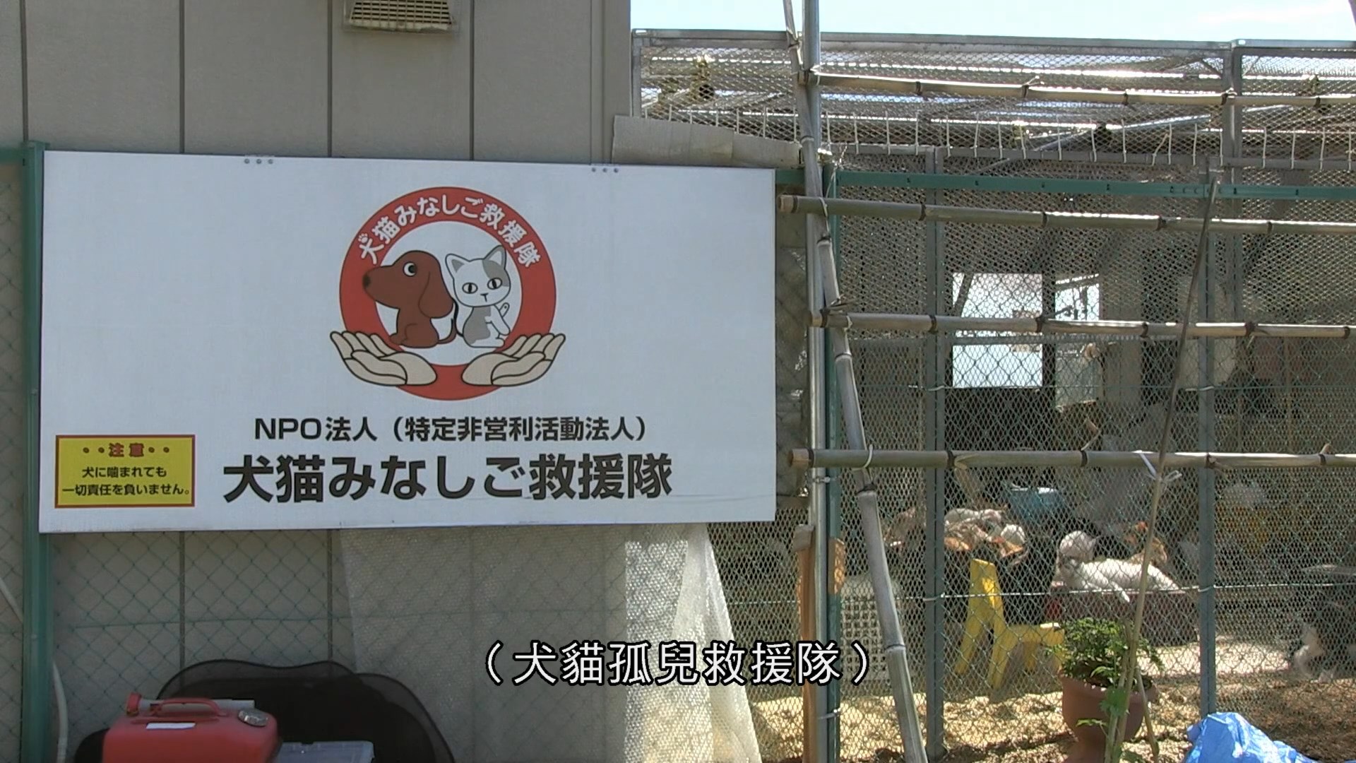 为你取名的那一天剧照的剧照