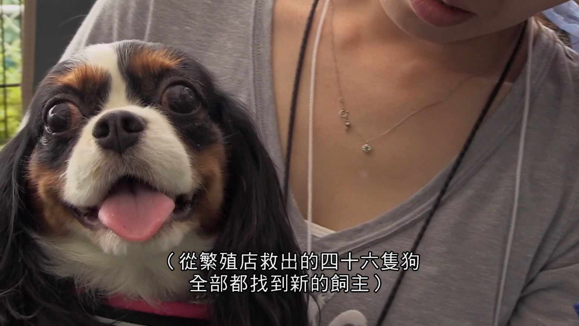 为你取名的那一天剧照的剧照