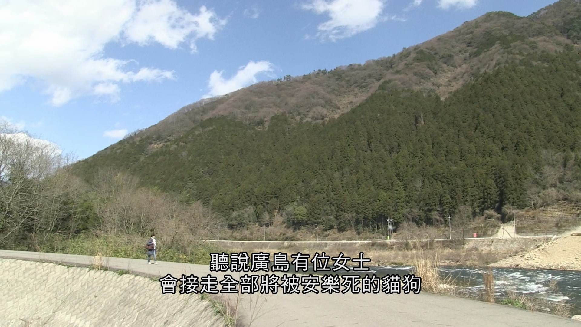 为你取名的那一天剧照的剧照