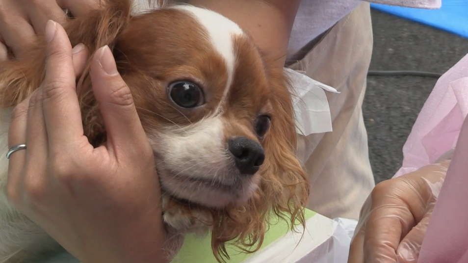 为你取名的那一天剧照的剧照