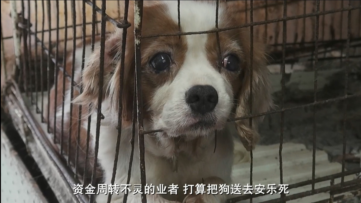 为你取名的那一天剧照的剧照