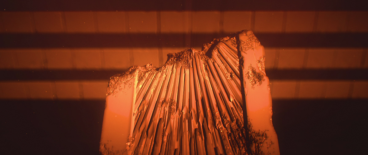 阿基拉剧照的剧照