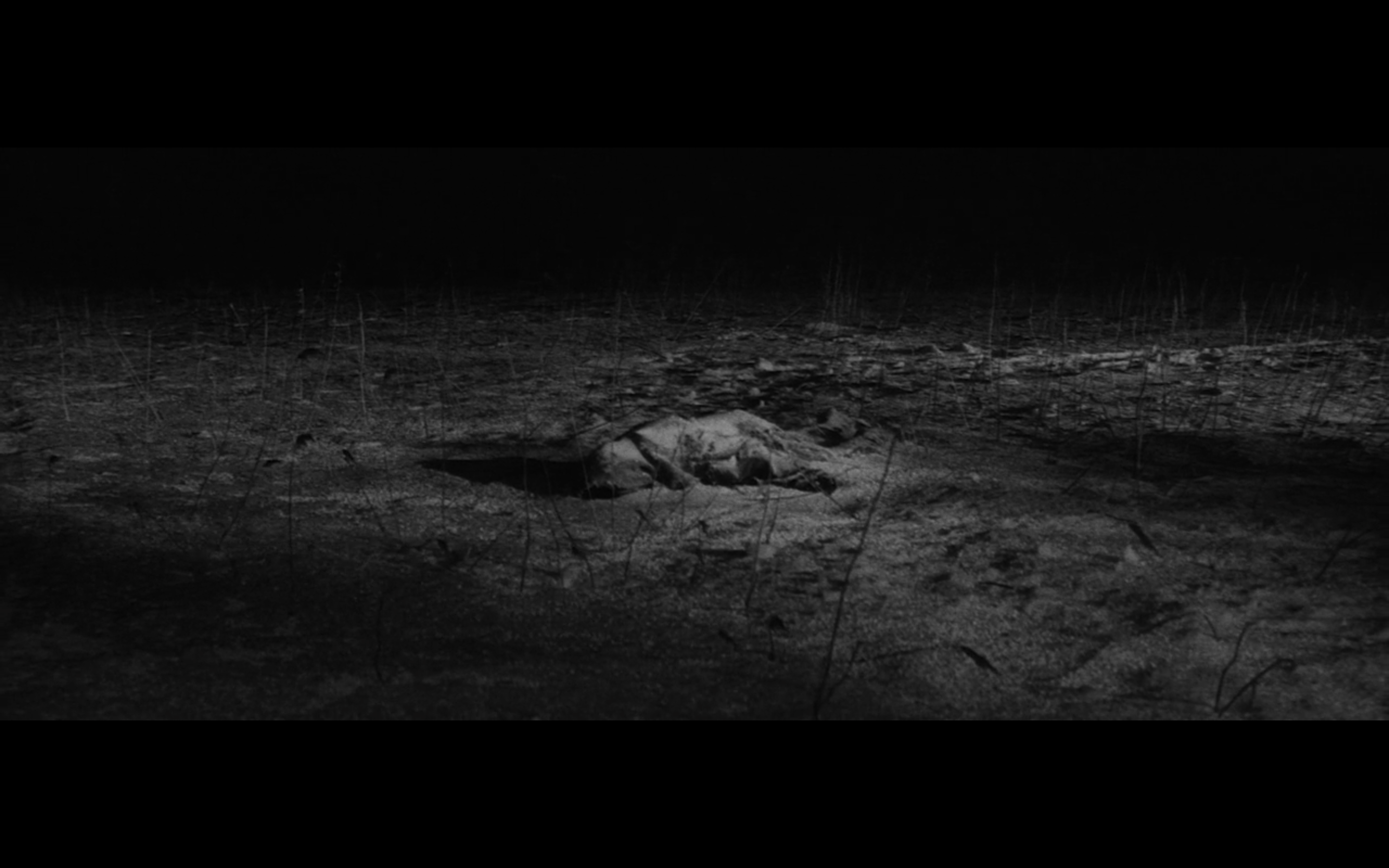 人间的条件(第五、六部)剧照的剧照