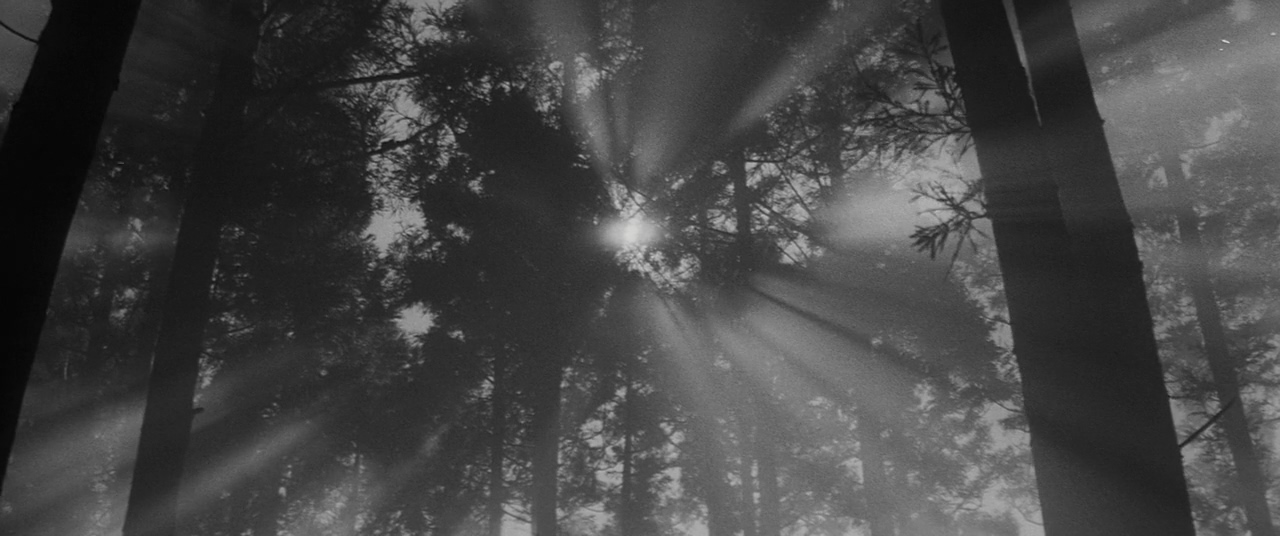 人间的条件(第五、六部)剧照的剧照