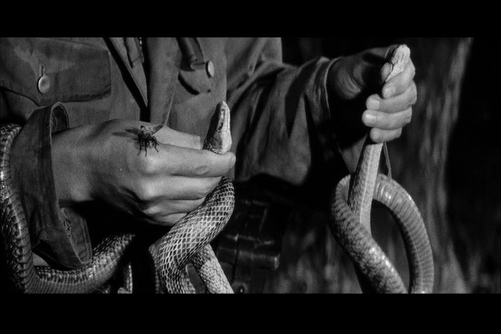 人间的条件(第五、六部)剧照的剧照