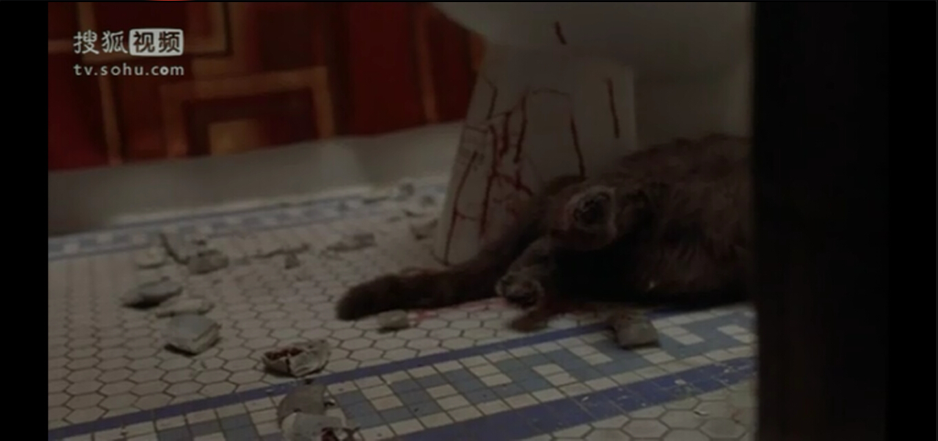 五月魔女剧照的剧照