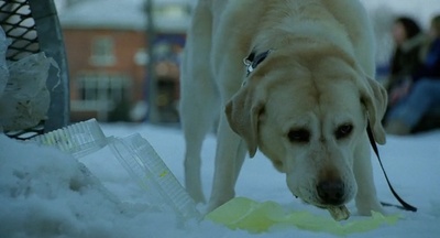 天气预报员剧照的剧照