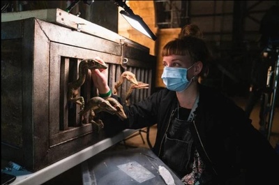 侏罗纪世界3剧照的剧照