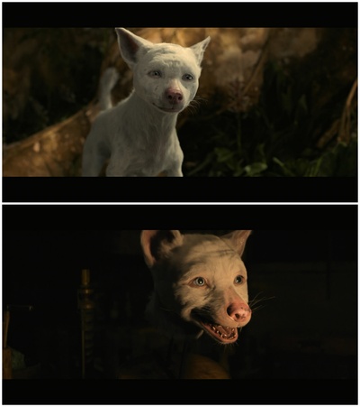 森林之子毛克利剧照的剧照