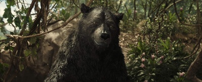 森林之子毛克利剧照的剧照