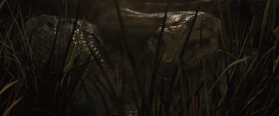 森林之子毛克利剧照的剧照