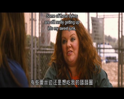 身份窃贼剧照的剧照