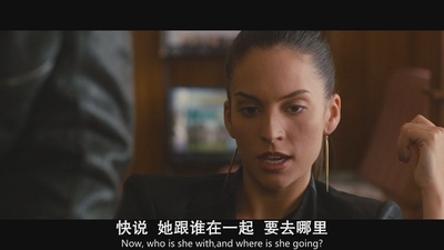 身份窃贼剧照的剧照