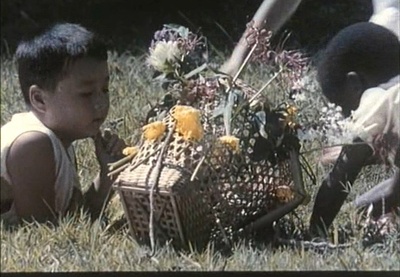 小刺猬奏鸣曲剧照的剧照