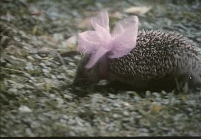 小刺猬奏鸣曲剧照的剧照