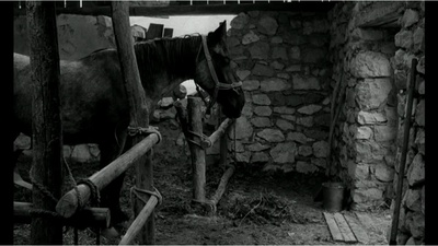 都灵之马剧照的剧照