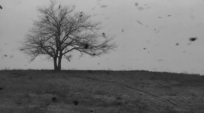 都灵之马剧照的剧照