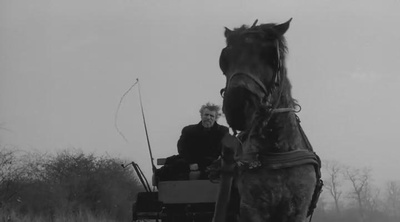 都灵之马剧照的剧照