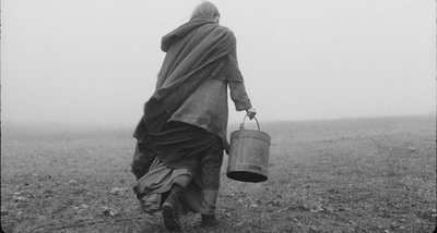 都灵之马剧照的剧照