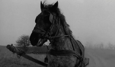 都灵之马剧照的剧照