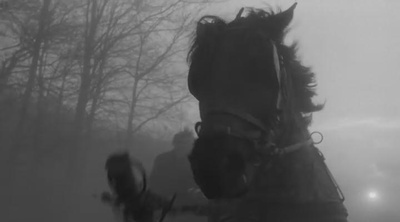 都灵之马剧照的剧照