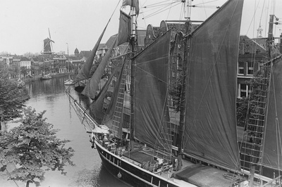 诺斯费拉图：夜晚的幽灵剧照的剧照