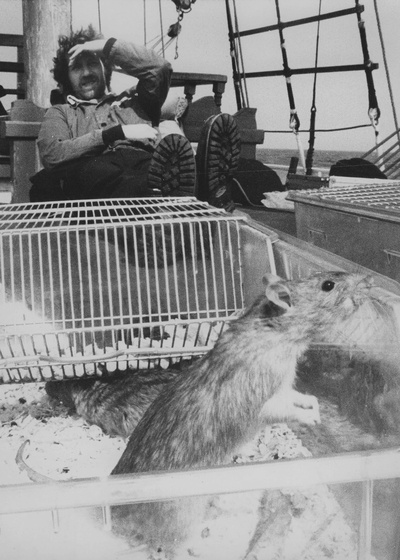 诺斯费拉图：夜晚的幽灵剧照的剧照