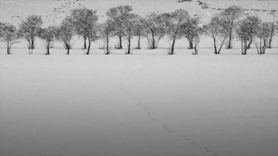 24帧剧照的剧照