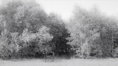 24帧剧照的剧照