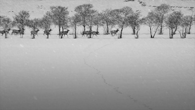 24帧剧照的剧照