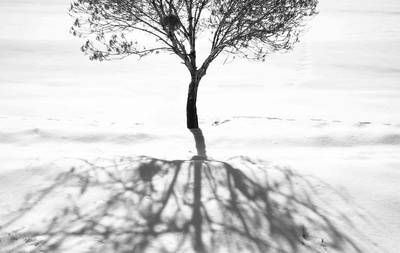 24帧剧照的剧照