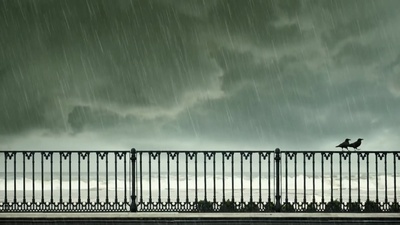 24帧剧照的剧照